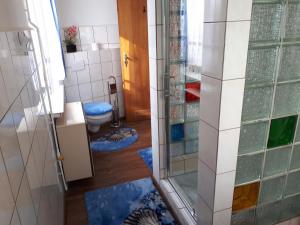 Un baño con inodoro y ducha de cristal. en Ferienwohnung Kupfer, en Schmiedefeld am Rennsteig 15 fotos más