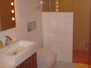 ein Bad mit einem WC und einem Waschbecken in der Unterkunft Ferienwohnung Heidrun Bemetz in Unterreitnau
