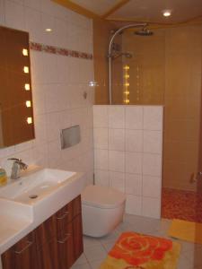 ein Bad mit einem Waschbecken, einem WC und einer Dusche in der Unterkunft Ferienwohnung Heidrun Bemetz in Unterreitnau