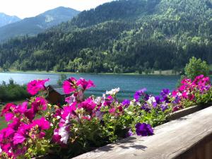 Paesaggio naturale nelle vicinanze dell'affittacamere