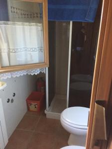 a small bathroom with a toilet and a shower at Capannina Vesale in Sestola +29 photos