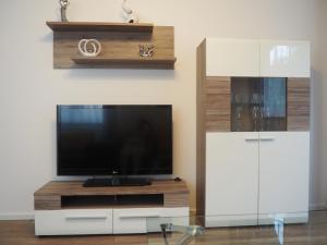 シュクラルスカ・ポレンバにあるApartament RED FLOWERSの薄型テレビ(テレビ台の上に座る)