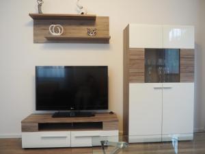 Televízia a/alebo spoločenská miestnosť v ubytovaní Apartament RED FLOWERS