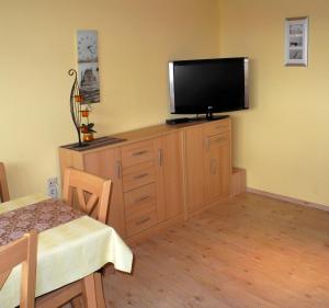 a living room with a flat screen tv on top of a cabinet at Ferienwohnung Wiese in Riedenburg