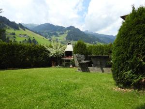 a grassy yard with a hill in the background at Blockhaus Ganschitter in Grossarl