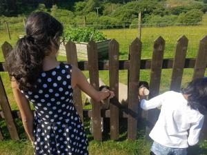 Hosté ubytování An Cois Na H-Aibhne