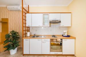 Una cocina o zona de cocina en Apartments Stana