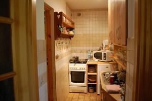 a small kitchen with a stove and a microwave at Domek myśliwski in Gietrzwałd
