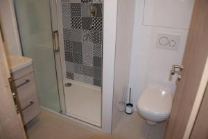 Kúpeľňa v ubytovaní Apartmán Dolní Morava