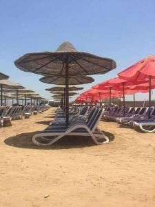 Fotografie z fotogalerie ubytování Porto South Beach Chalet v destinaci Ain Soukhna