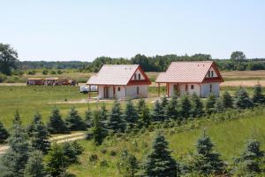 two houses in a field with trees at Wygodny murowany domek- NOWY in Dąbki