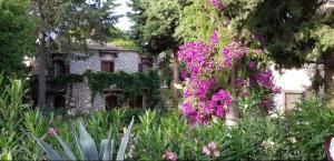 un jardín con flores púrpuras frente a un edificio en Medusa House Butik Hotel, en Didim