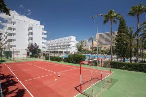 Tenis a/nebo squash v ubytování HM Martinique nebo okolí