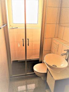 a bathroom with a toilet and a sink at Apartment Hof-Bayern in Hof