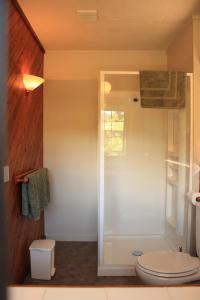 a bathroom with a shower and a toilet in it at Chartré Manor B&B in Thames