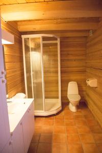 a bathroom with a shower and a toilet at Hytter Dombås in Dombås