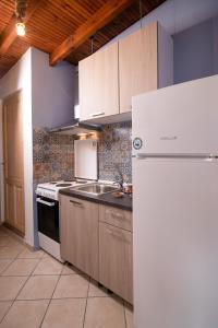 a kitchen with a white refrigerator and a sink at Velpina Apartments in Potamiá