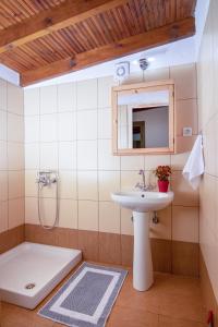 a bathroom with a sink and a shower with a mirror at Velpina Apartments in Potamiá +27 photos
