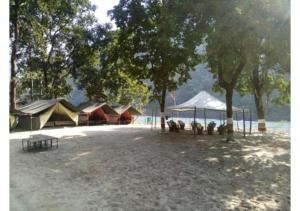 Shivpuri的住宿－Ubud Riverside Camps，一群在树丛中的帐篷