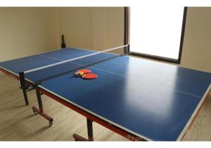 a ping pong table with two ping pong balls on it at Riverside Resort in Lap of Nature in Nainital