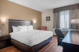 Econo Lodge Inn & Suites 객실 침대