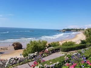 vistas a una playa con gente nadando en el océano en Bellevue 766 Biarritz en Biarritz