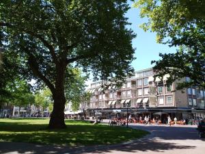 a tree in a park in front of a building at B&B de Notaris in Assen