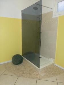um chuveiro com uma porta de vidro num quarto em Chez Sandrine em Cilaos