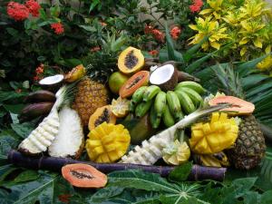 Mad på bed and breakfast-stedet eller i nærheden