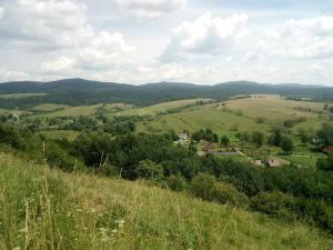 Príroda v okolí chaty v prírode