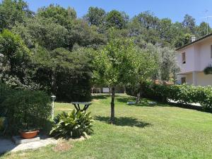 einen Garten mit einem Baum und einem Tisch im Gras in der Unterkunft Il Giardino di Sara in Salò