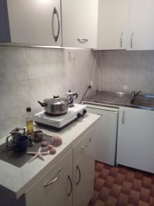 Kuchyň nebo kuchyňský kout v ubytování Bissias Guest House