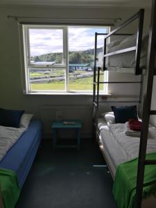 two bunk beds in a room with a window at Helgafell Hostel in Djúpivogur