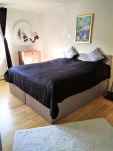 a bedroom with a large bed with a black comforter at Apartment Hof-Bayern in Hof
