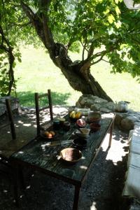 un tavolo da picnic con ciotole di cibo sopra sotto un albero di Maison Marthe a Coursegoules