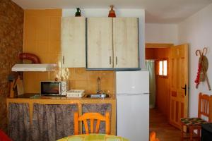 a kitchen with a white refrigerator and a microwave at Alojamiento Buena Vista in Alcalá del Júcar