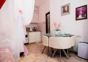 Kuchyň nebo kuchyňský kout v ubytování Studio apartman Mima