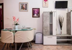TV a/nebo společenská místnost v ubytování Studio apartman Mima