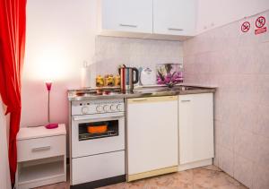Kuchyň nebo kuchyňský kout v ubytování Studio apartman Mima