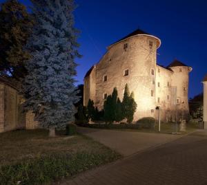un gran castillo con un árbol delante de él en Apartman Ružica en Ogulin