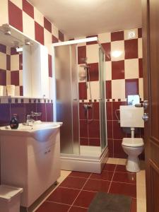 a bathroom with a shower and a toilet and a sink at Apartmani "Bodulo" in Povljana