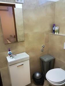Koupelna v ubytování Hostel Poslon