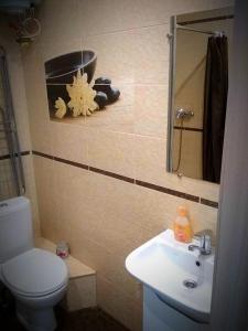 een badkamer met een toilet, een wastafel en een spiegel bij Квартири подобово Івано-Франківська Nice apartments for booking in Ivano-Frankivsʼk