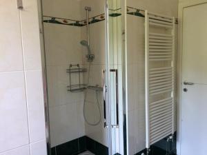 a shower in a bathroom with a glass door at Casa Lorenzo in Bellagio +30 photos