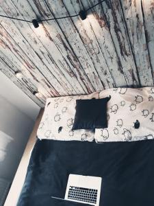 TV a/nebo společenská místnost v ubytování Apartament Leśny