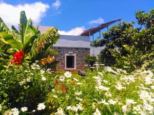 Vonkajšia záhrada v ubytovaní Villa Canaria piscina jacuzzi jardín