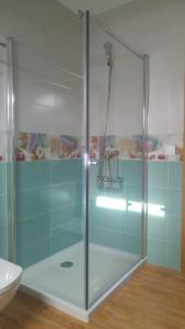 オ・グローベにあるCasa A Veigaのバスルーム(ガラスドア付きのシャワー付)