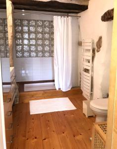 ein Bad mit einem WC und einem weißen Vorhang in der Unterkunft Villa Authentique et Architecturale - Centre Ville in Forcalquier