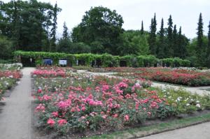 a garden with pink and white flowers in a park at Pod starymi lipami in Szczecin
