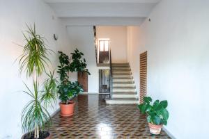 Fotografia z galérie ubytovania Casa Lidia v destinácii Scansano